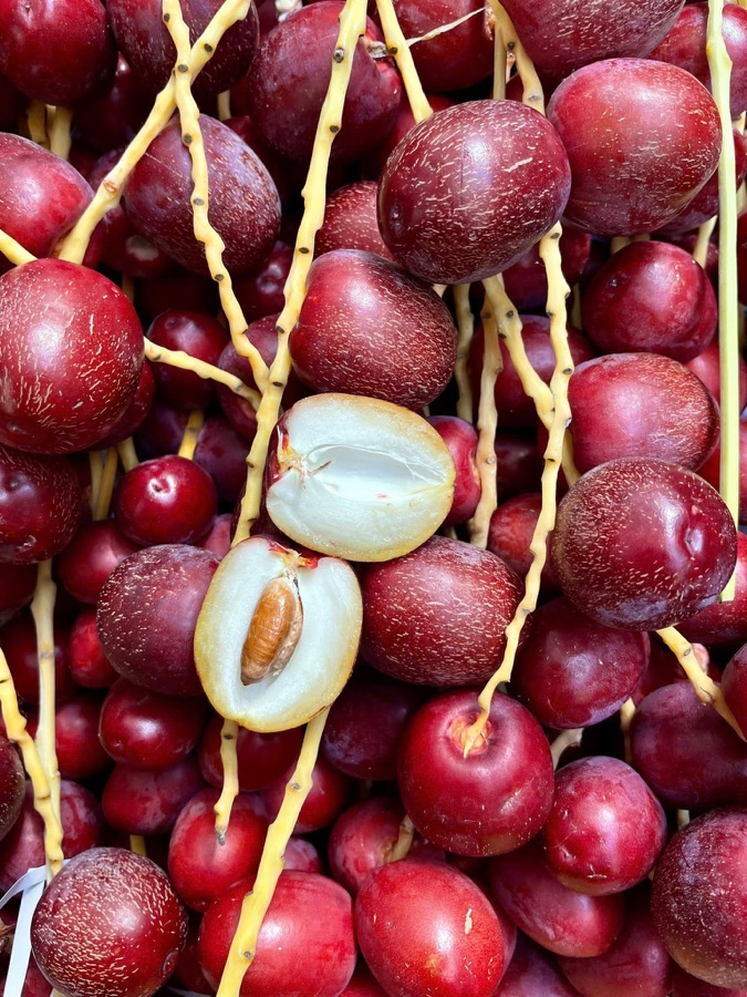 Konaizi